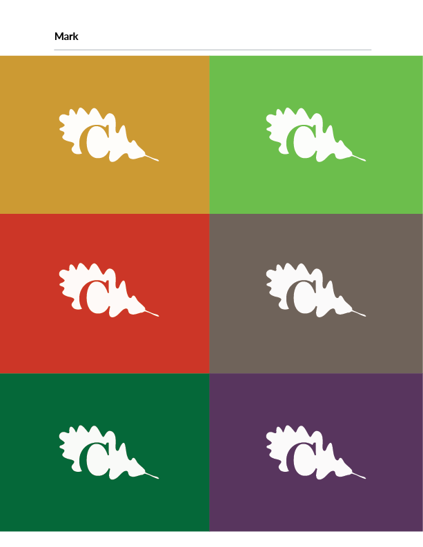 brand guide color variations