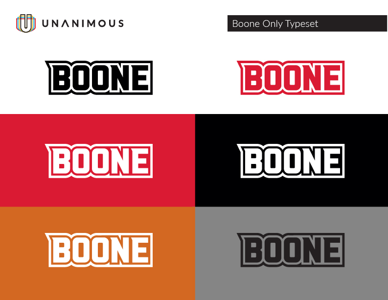 education logo and mascot brand guide boone only