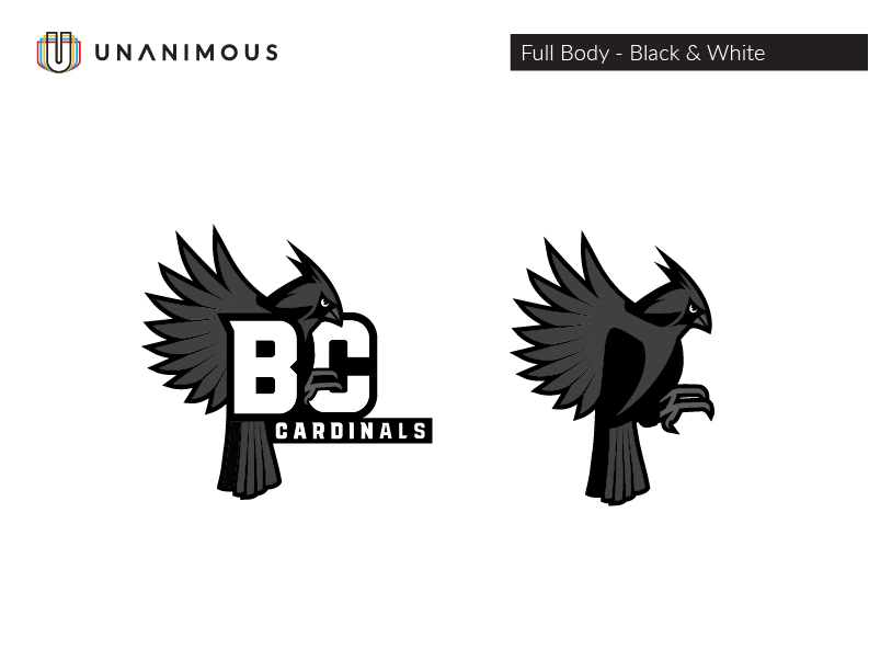 education logo and mascot brand guide greyscale