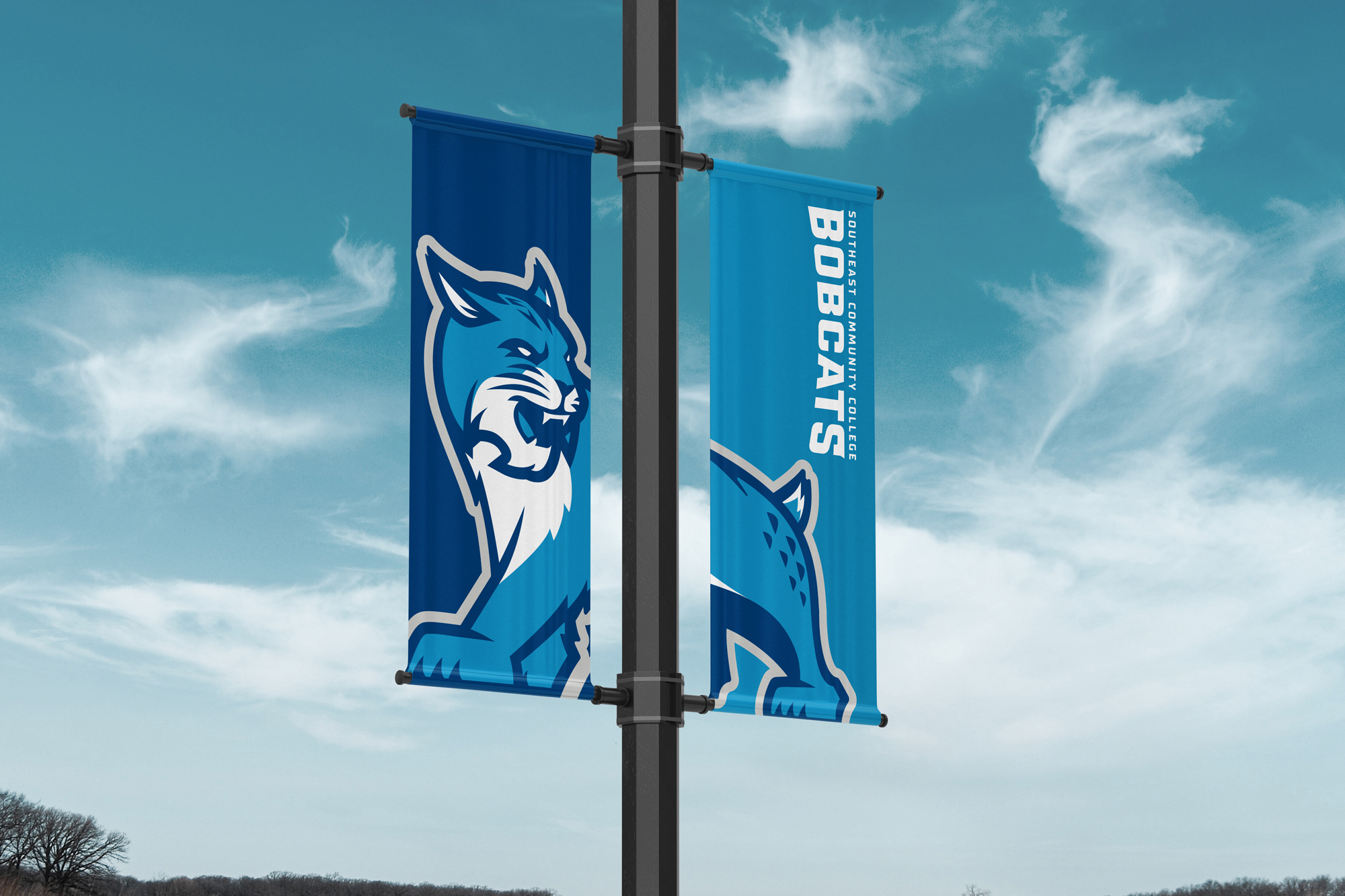 college mascot design pole banner