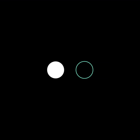 dots animation video