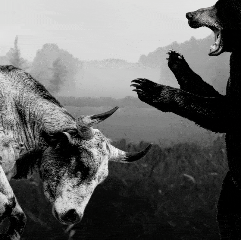 Photo to logo transformation animation