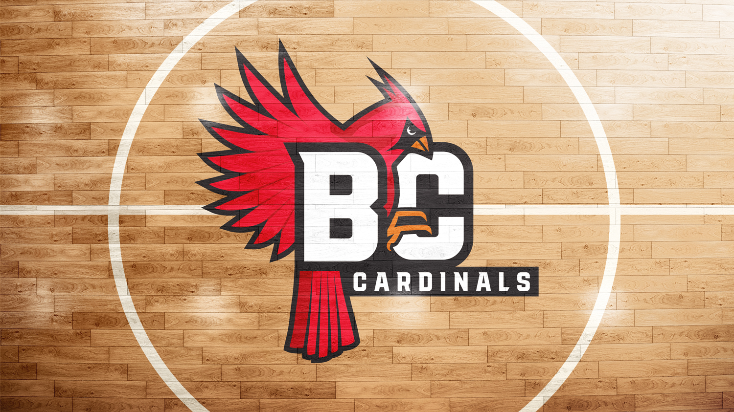 boon central public school mascot logo on basketball court