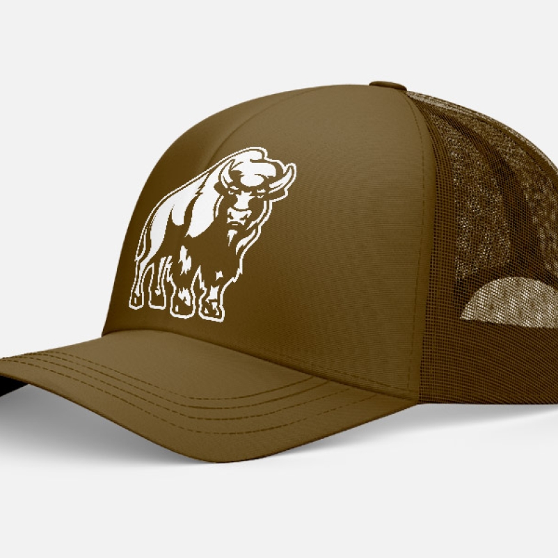 cody hat