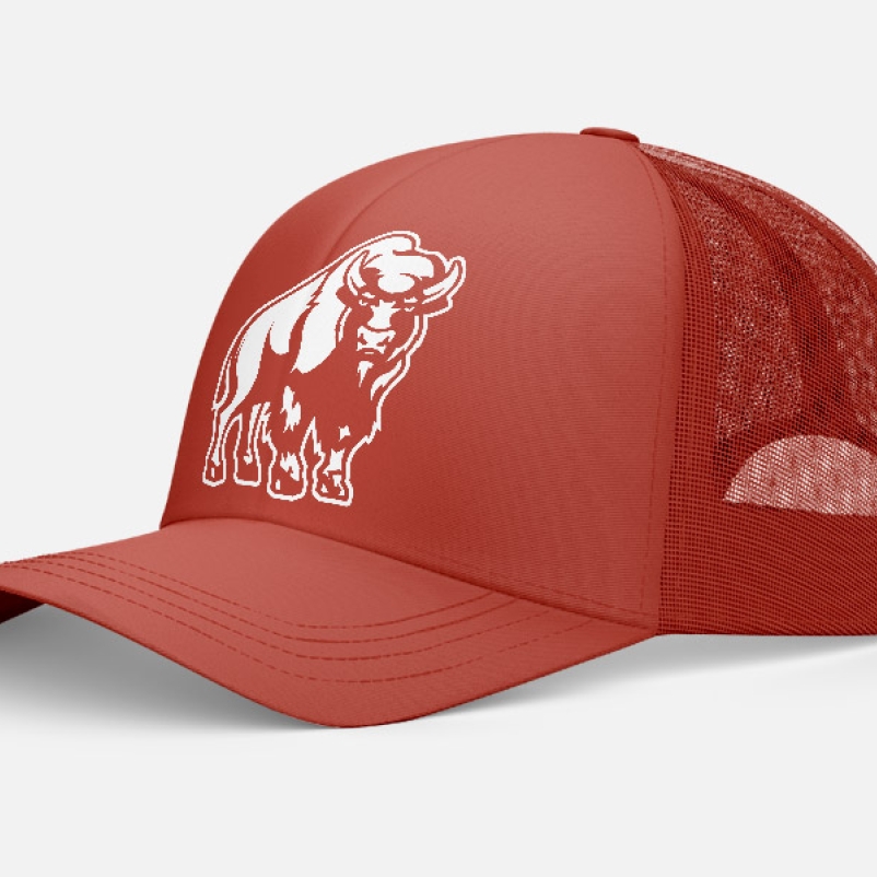 cody hat