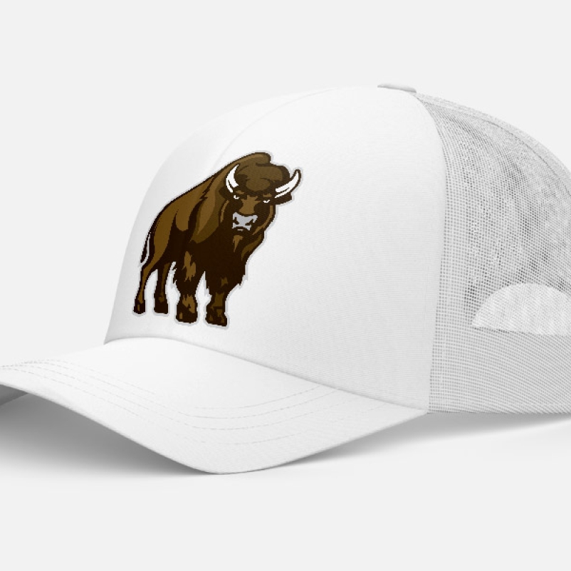 cody hat