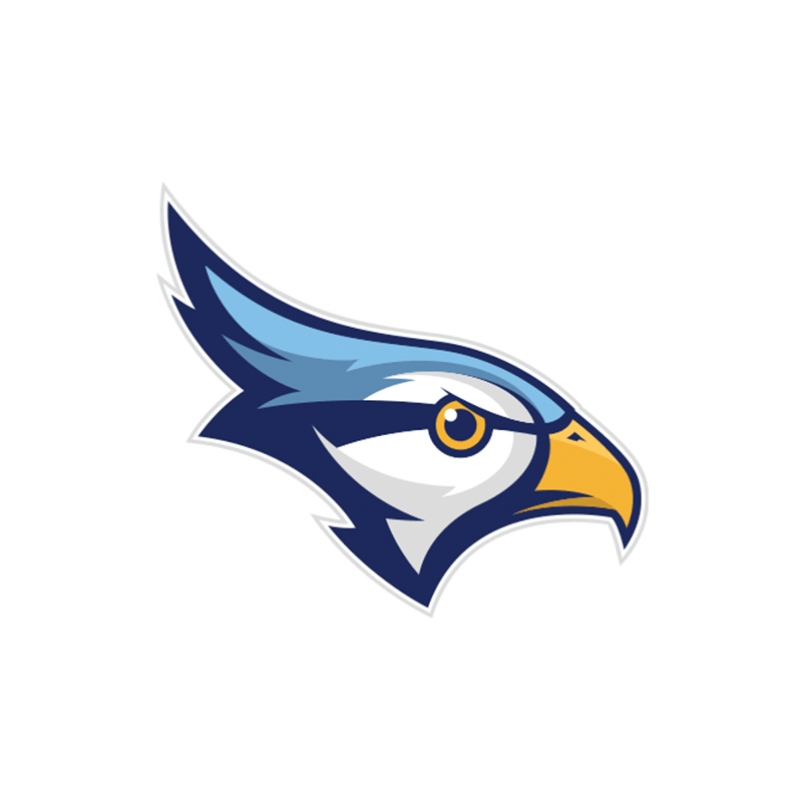 new school athletics logo
