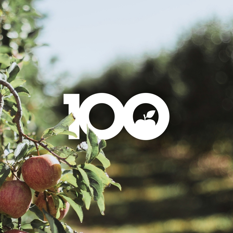 Anniversary logo in an apple orchard