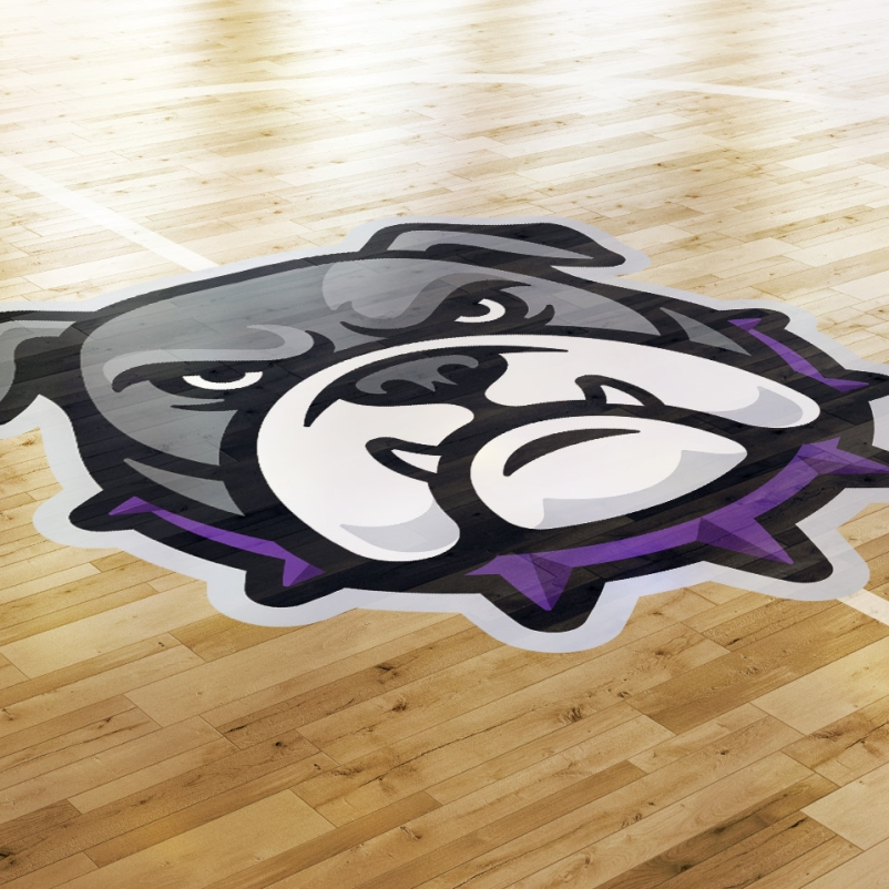 beadle middle school basketball court