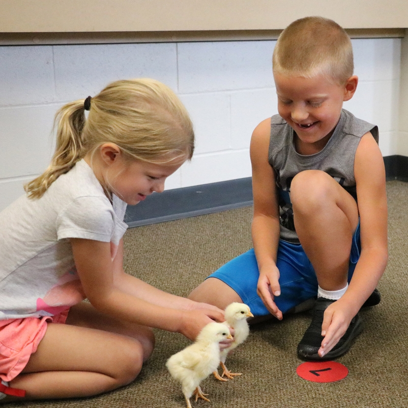 upchurch s.t.e.m. elementary