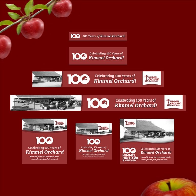 Brand awareness google display ads