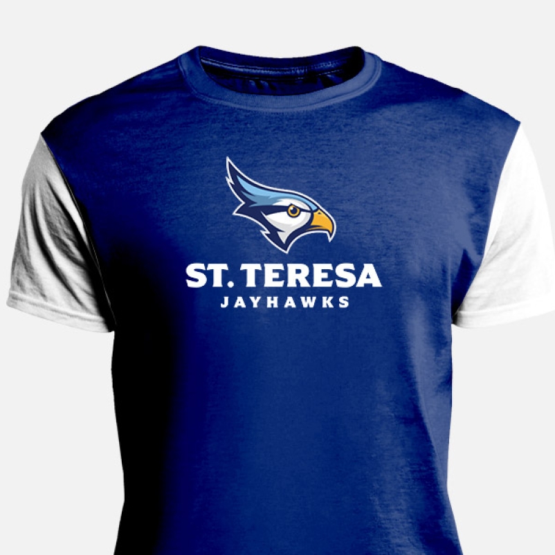 branded school mascot sweatshirt