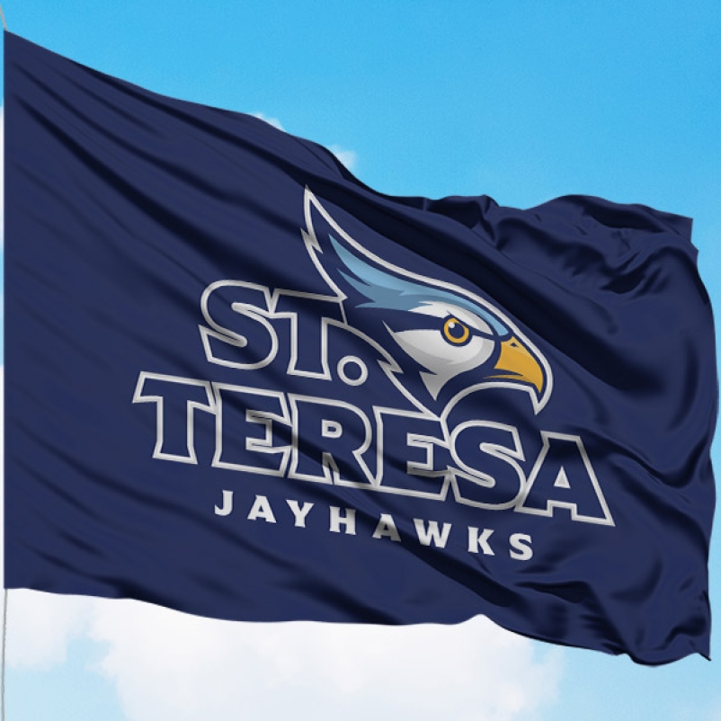 branded school athletic mascot flag