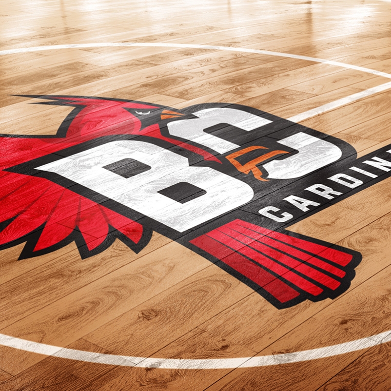 boon central public school mascot logo on basketball court