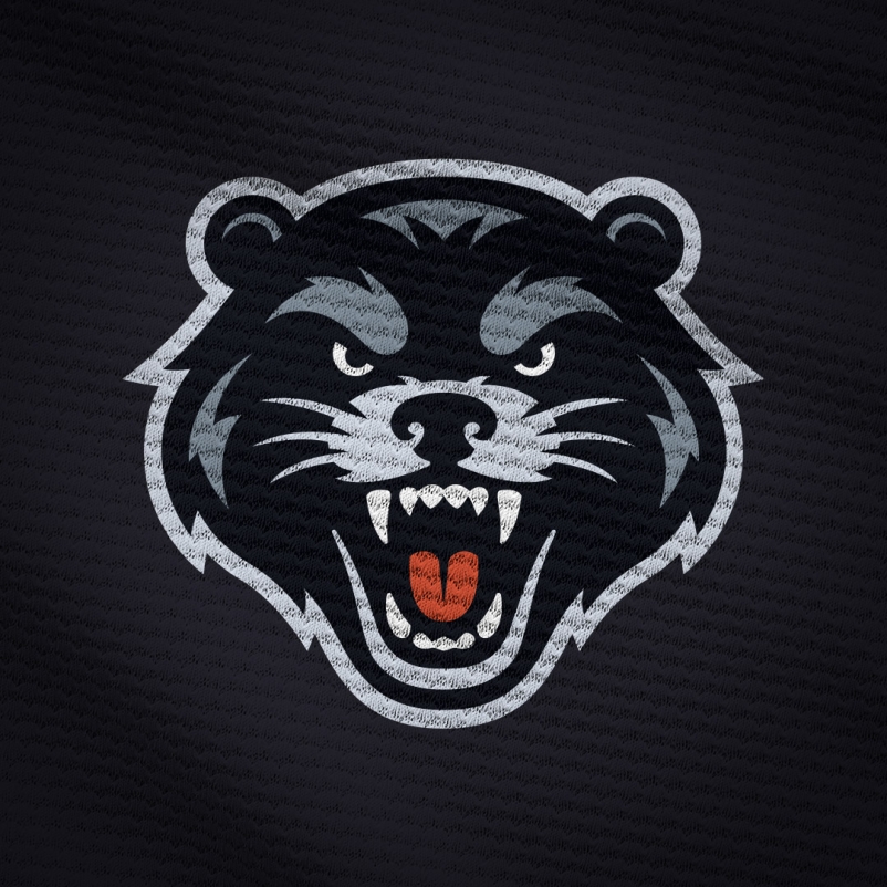 h&h bearcats mascot