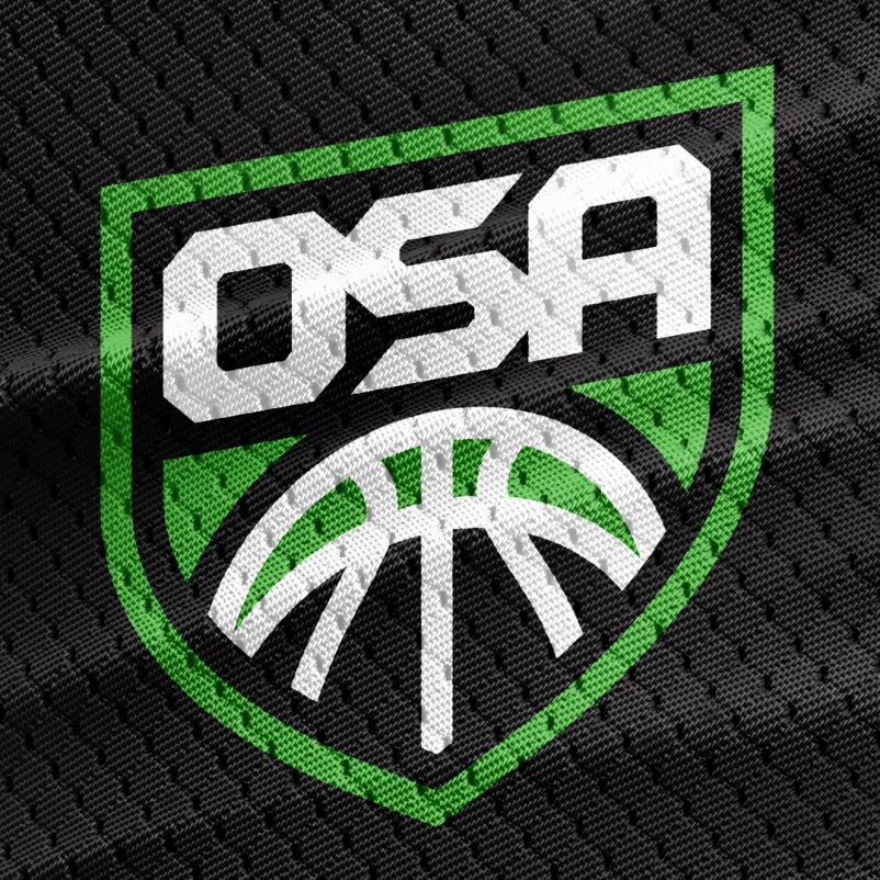 osa logo