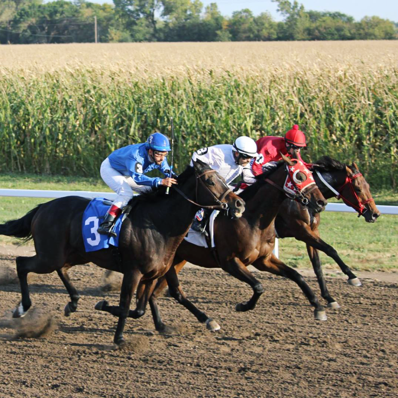 lincoln race horses racing