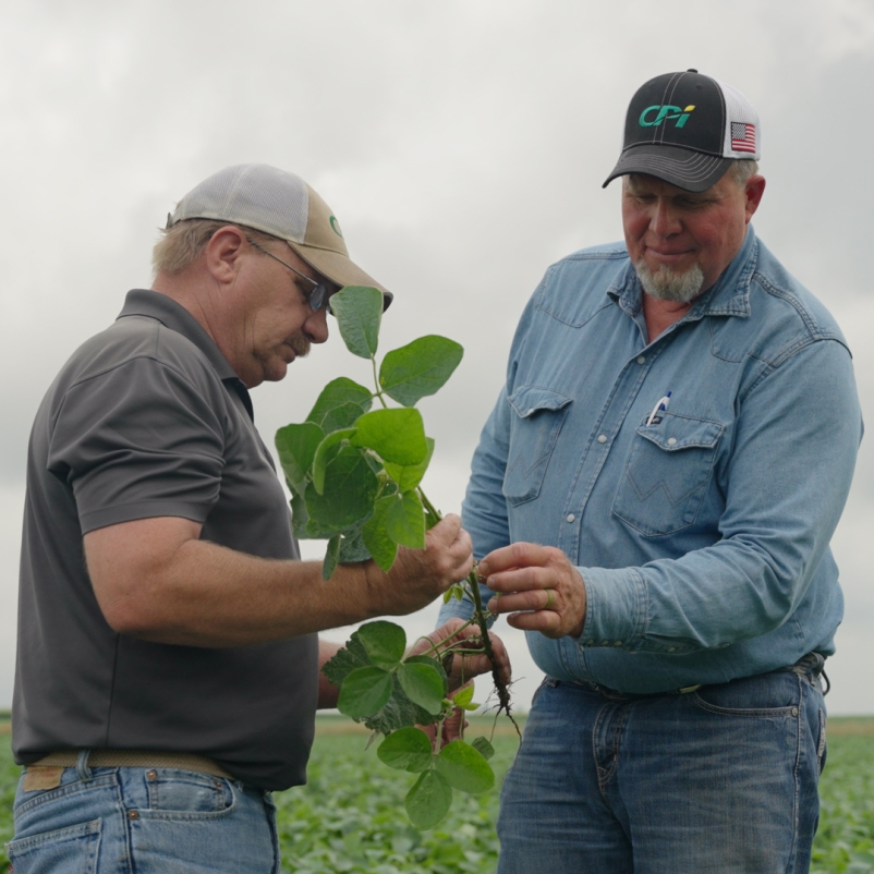 farmers inspecting plants