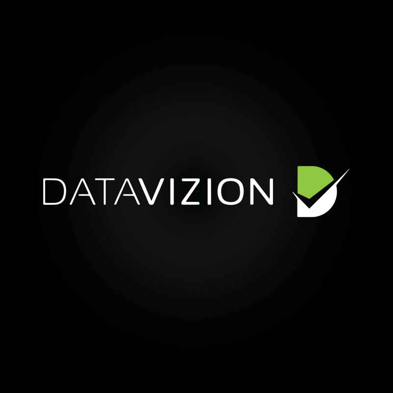 DataVizion Logo
