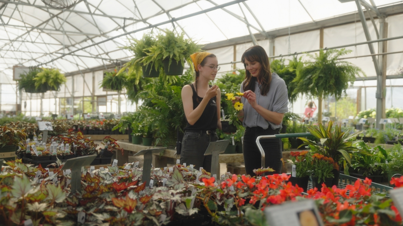 campbells greenhouse