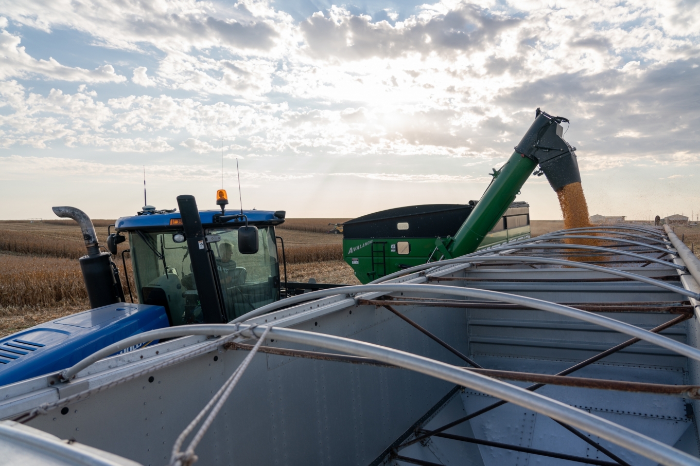 agriculture video shoot harvest