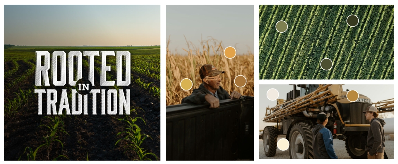 campaign visual identity