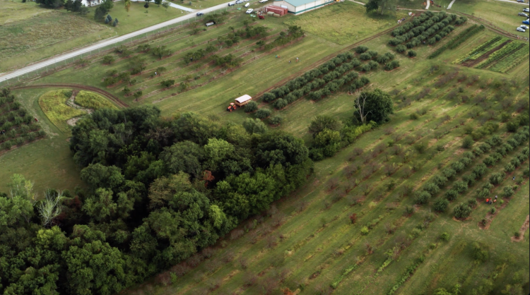 Drone and Aerial Photo of Hayride Wagon