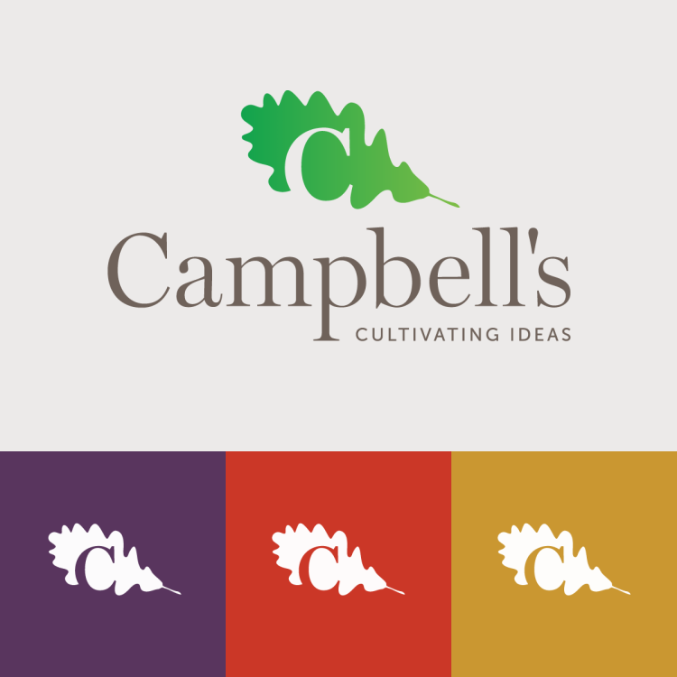 campbell's logo and color variations