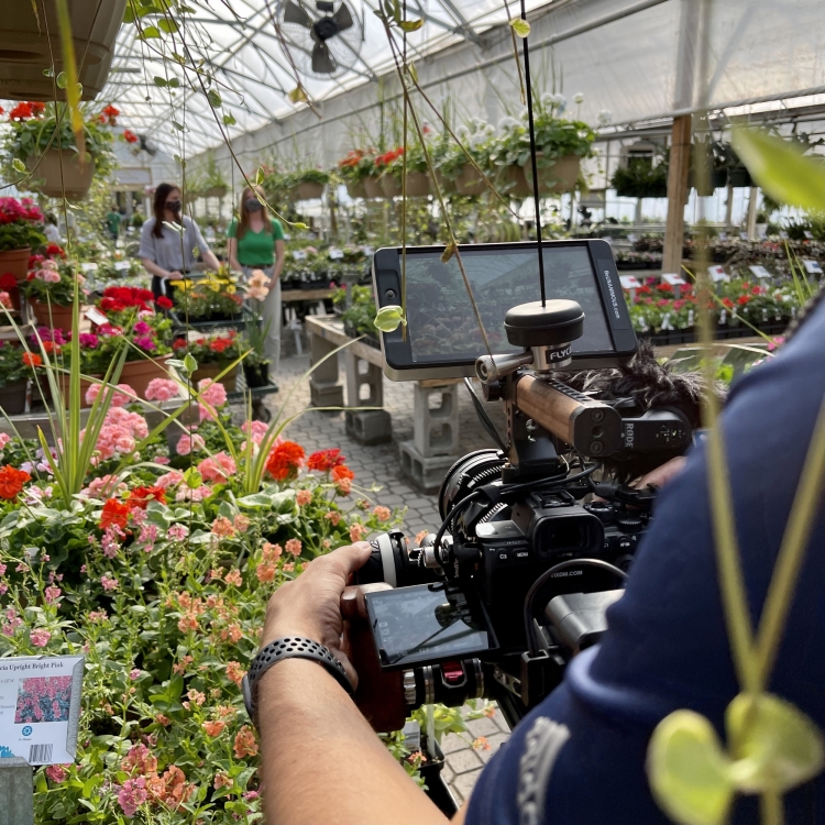 greenhouse video shoot