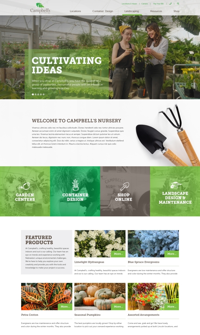 ecommerce website example shopping online