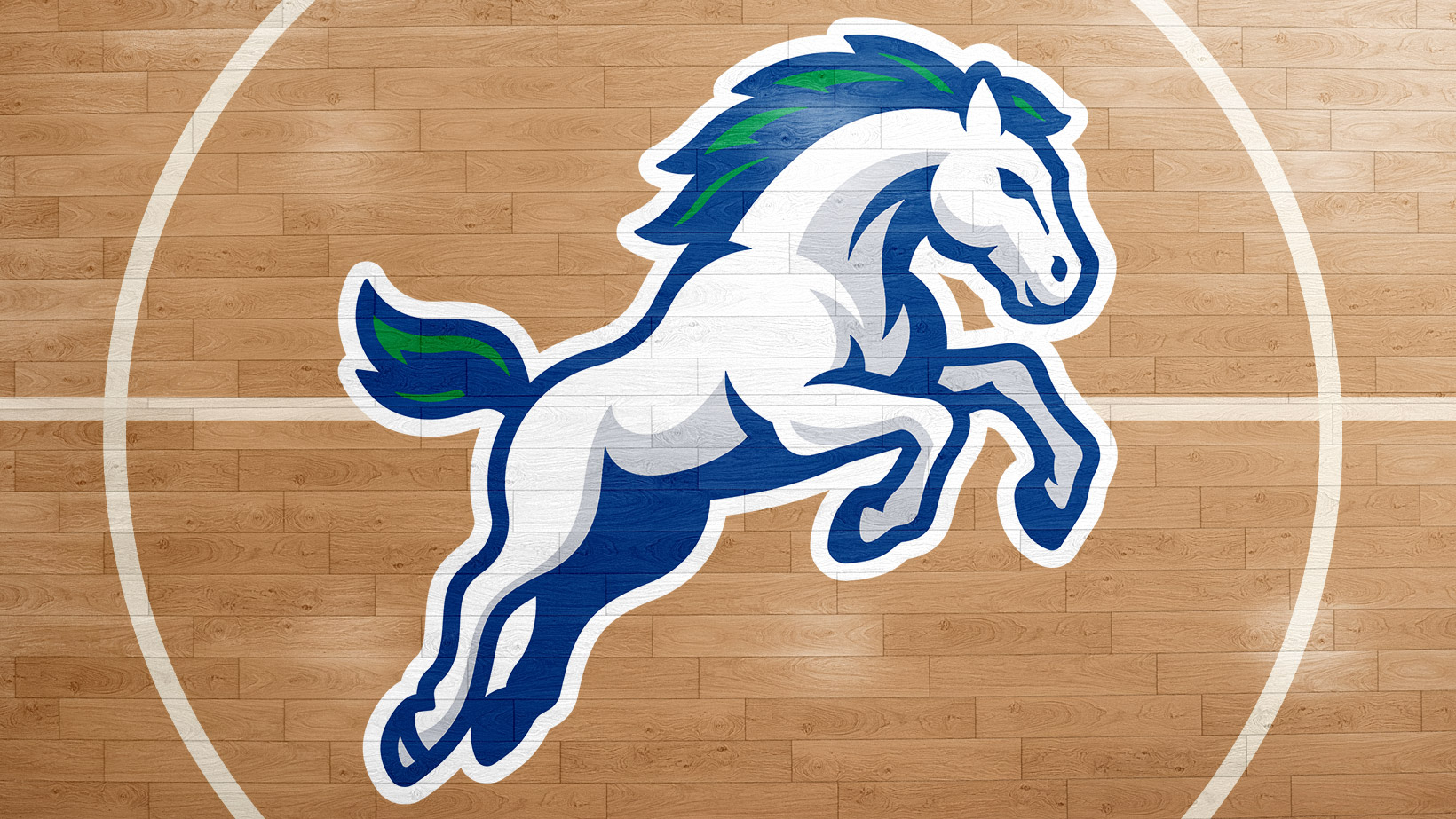 willa cather elementary basketball court