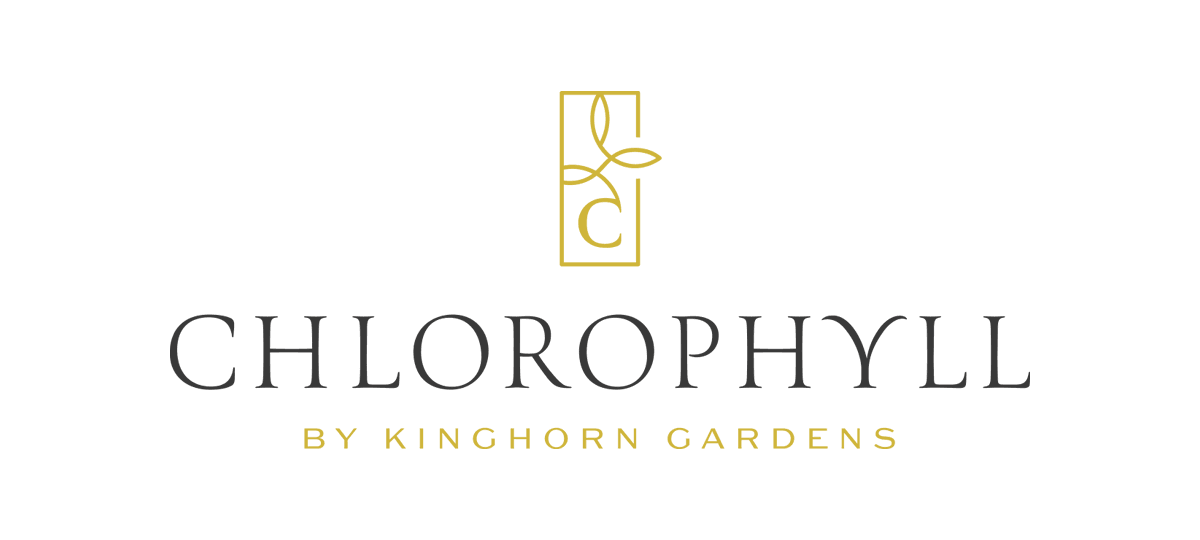 chlorophyll logo on white