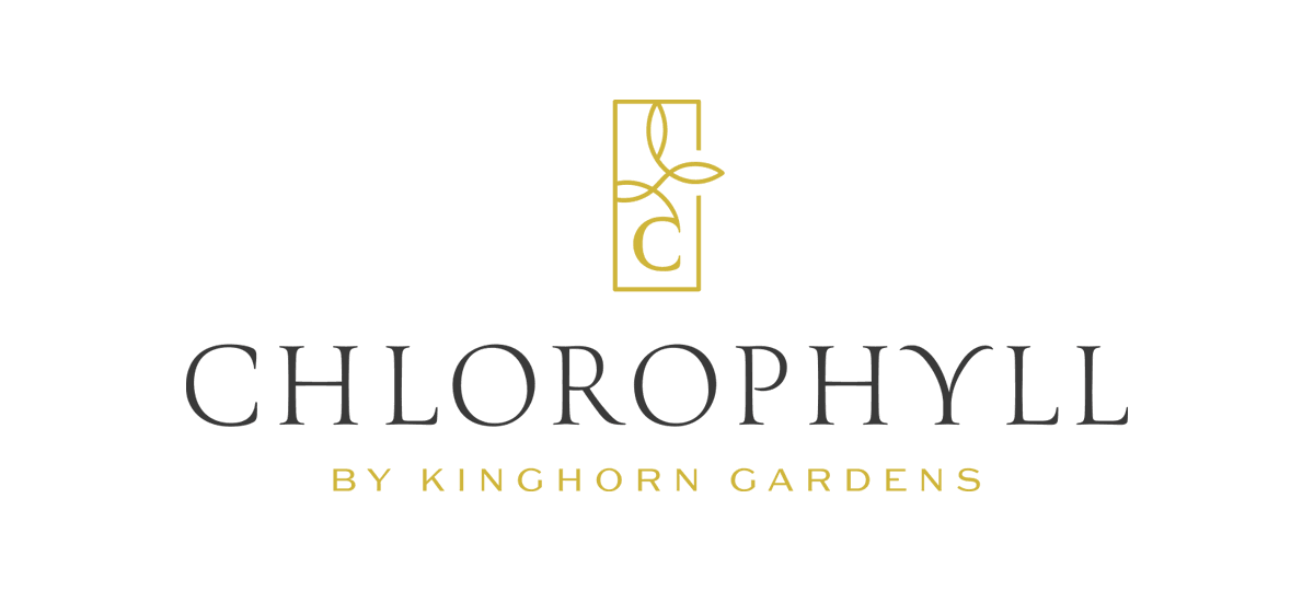 chlorophyll logo on white