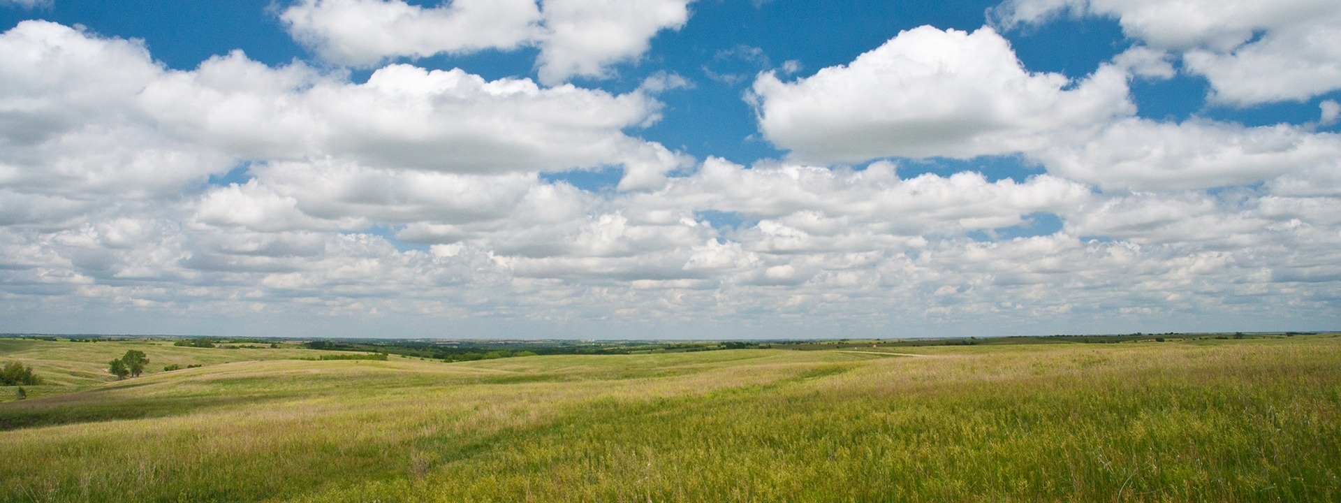 cather prairie