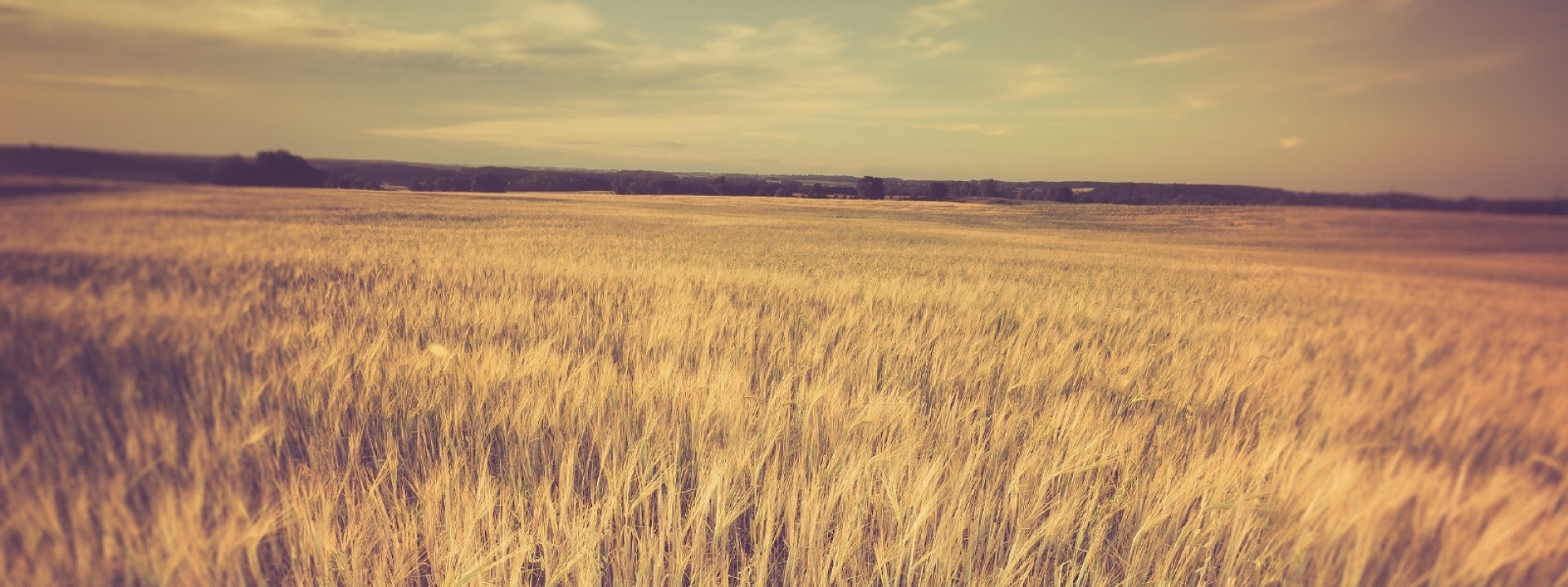 red cloud community prairie