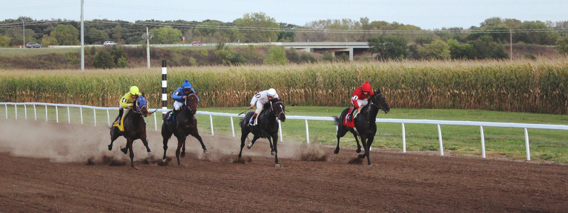 horse racing website design footer image