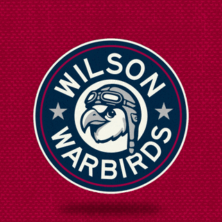 Wilson Warbirds Logo